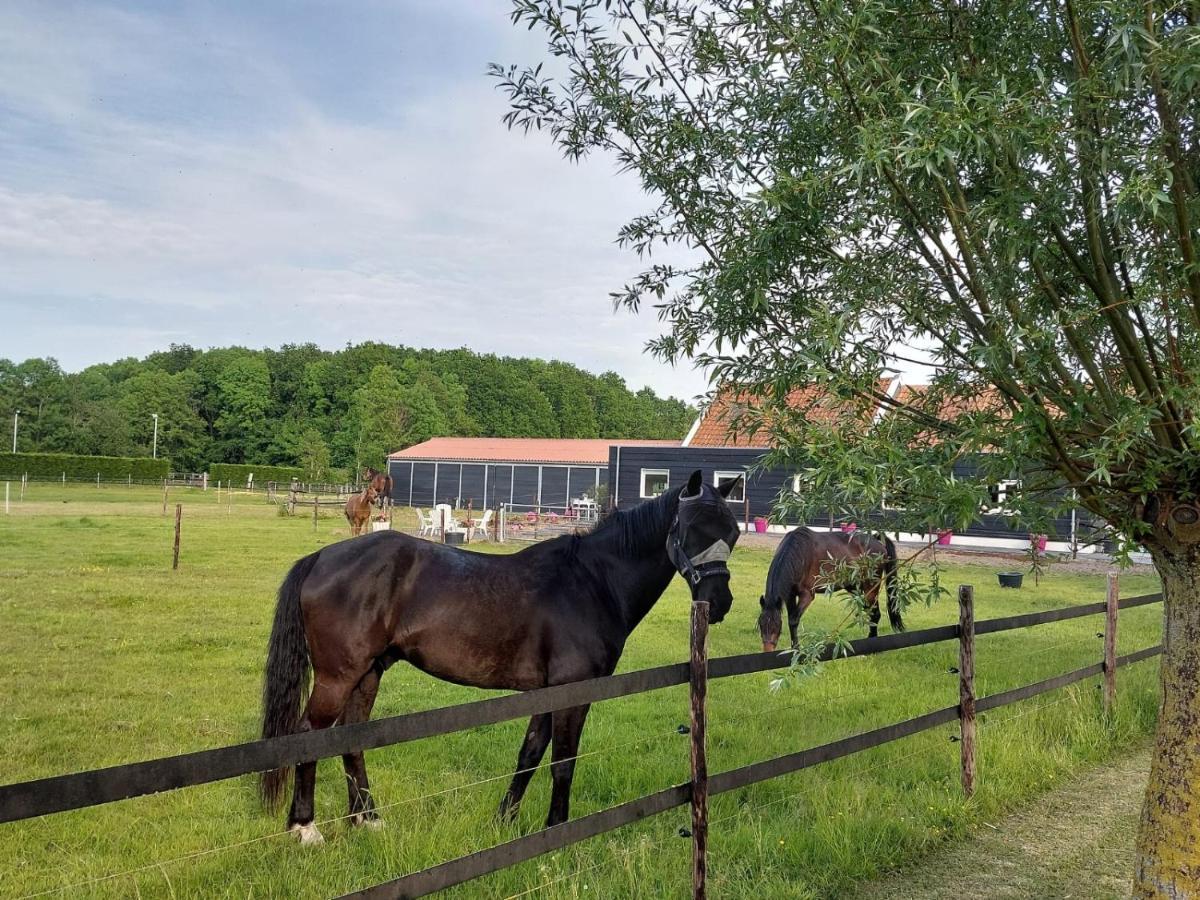 NoordgouweDe Tulp住宿加早餐旅馆 外观 照片