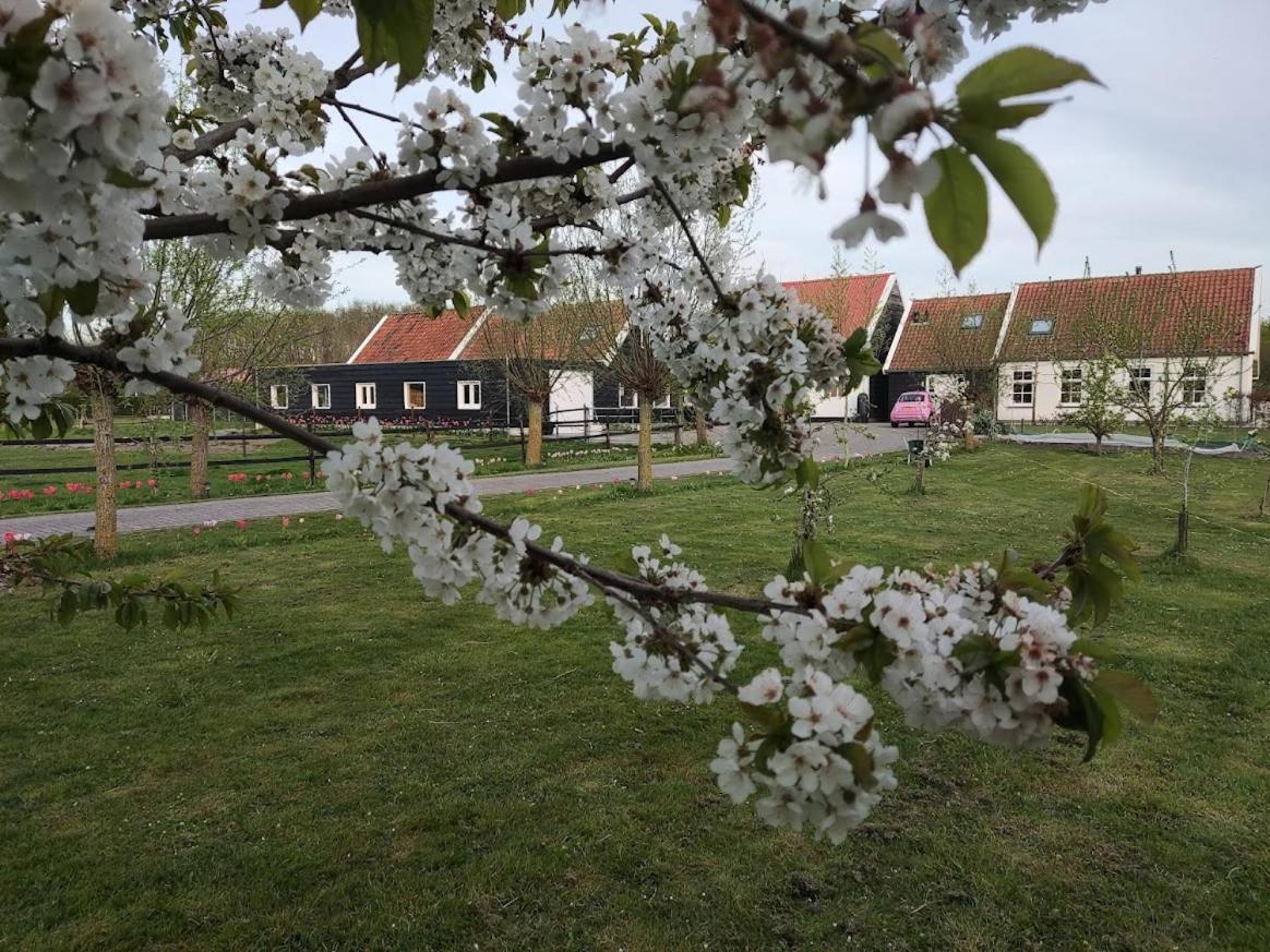 NoordgouweDe Tulp住宿加早餐旅馆 外观 照片